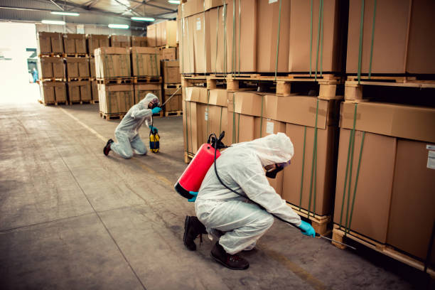 Best Pest Prevention Services  in Applewood, CO