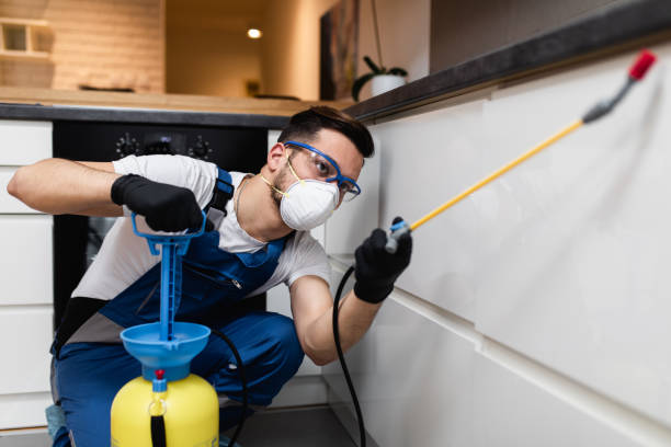 Best Rat Extermination Near Me  in Applewood, CO