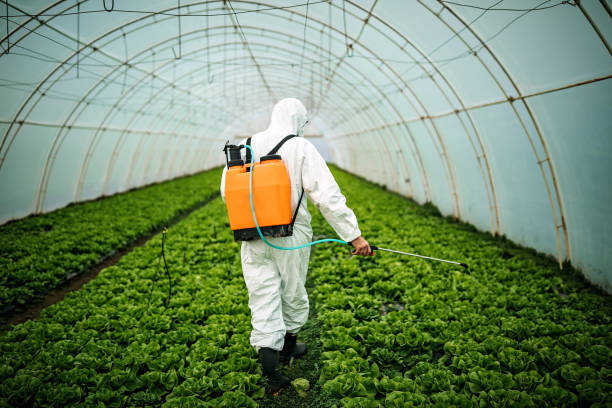 Professional Pest Control in Applewood, CO