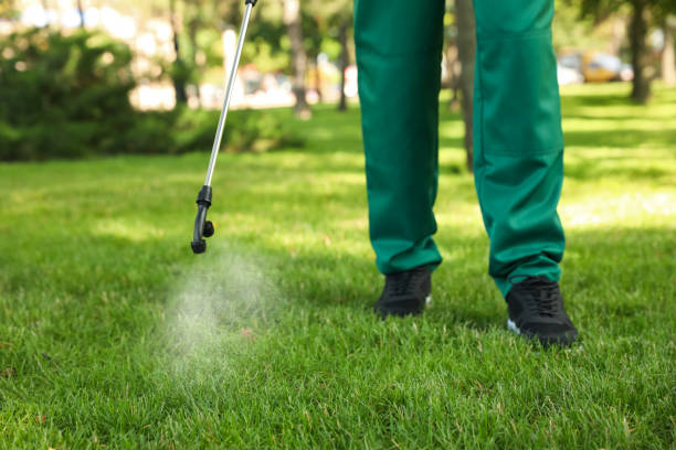 Best Commercial Pest Control Services  in Applewood, CO