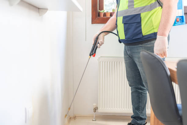 Best Pest Control Near Me  in Applewood, CO