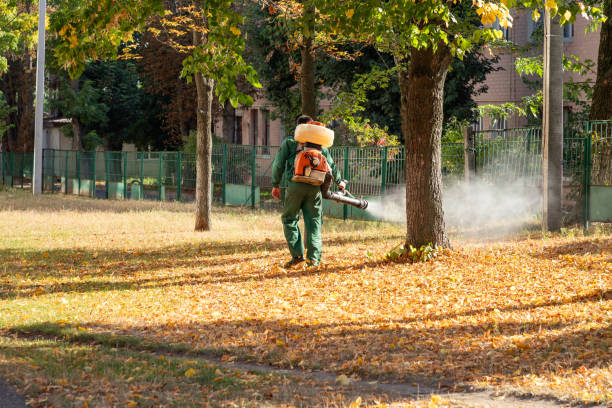 Best Best Pest Control Companies  in Applewood, CO