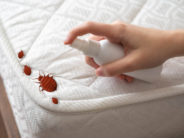 Best Best Pest Control Companies  in Applewood, CO